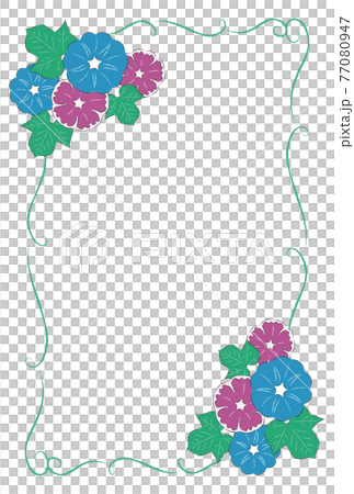 牽牛花框架垂直 牽牛花框架垂直 77080947