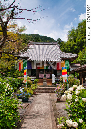 あじさいの山寺 三光寺 【岐阜県山県市富永】 あじさいの山寺 三光寺 【岐阜県山県市富永】 77081396