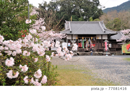 丹生官省符神社 拝殿 丹生官省符神社 拝殿 77081416