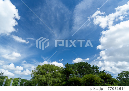 心地よい夏の鶴舞公園の空模様 77081614