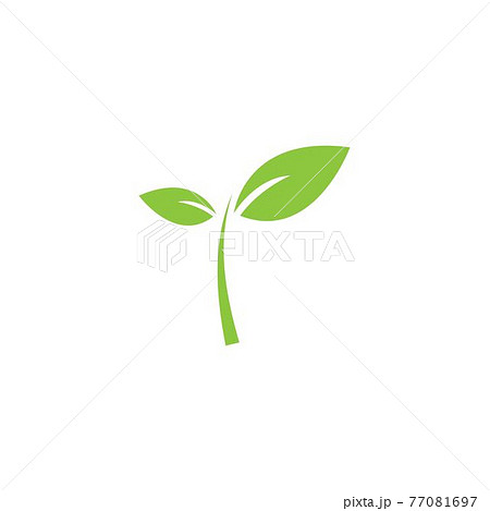 Green leaf logo 77081697