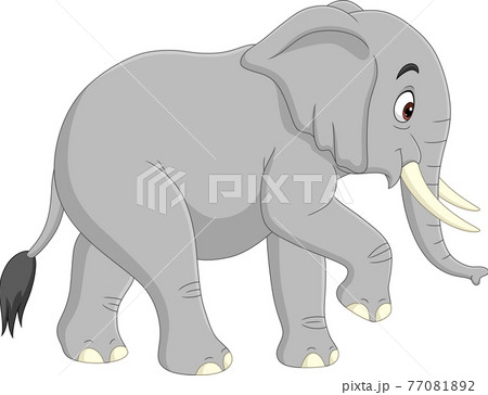 Cartoon elephant isolated on white background - Stock Illustration  [77081892] - PIXTA