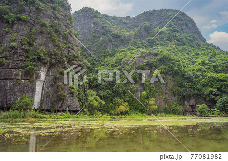 Trang An, Tam Coc, Ninh Binh, Viet nam. It's is UNESCO World Heritage Site, renowned for its boat cave tours. It's Halong Bay on land of Vietnam. Vietnam reopens borders after quarantine Coronovirus 77081982