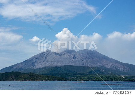 垂水の道の駅から見る、噴火して灰を被って白くなった桜島 垂水の道の駅から見る、噴火して灰を被って白くなった桜島 77082157