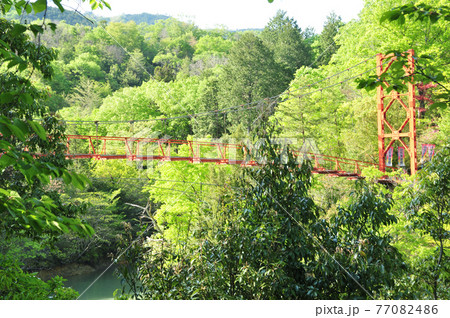 杉村公園の丸尾橋　【和歌山県橋本市】 77082486