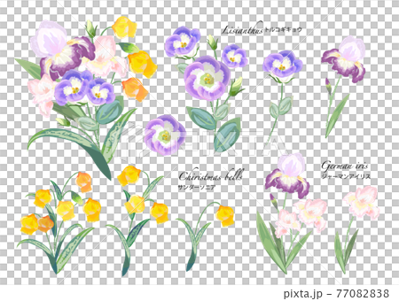 初夏花卉素材水彩 77082838