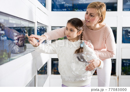 Cute girl with her mother customer buying tropical fish Cute girl with her mother customer buying tropical fish 77083000