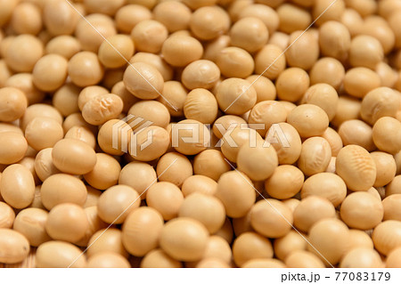 大豆 大豆 77083179