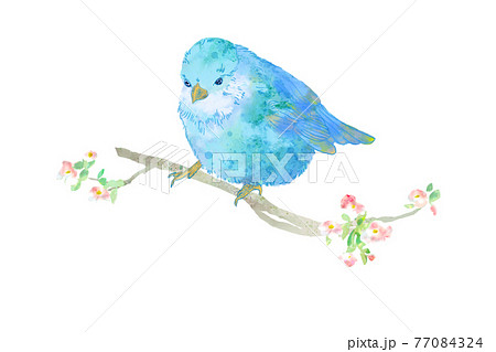 ふんわり可愛いパステルカラーの青い小鳥のイラストのイラスト素材