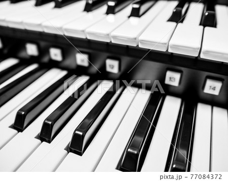 オルガンの鍵盤 オルガンの鍵盤 77084372