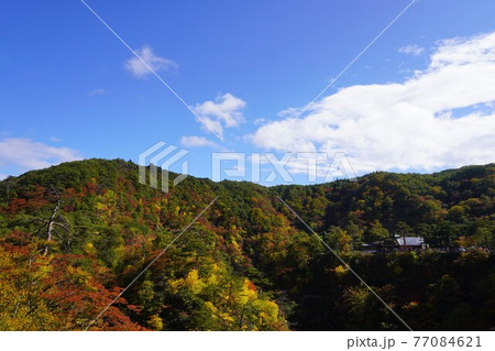 紅葉した山の中の鳴子峡レストハウス、宮城県大崎市 77084621