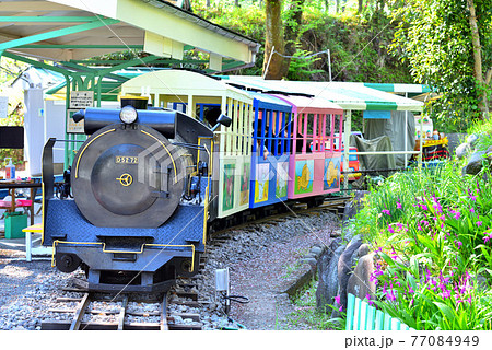 小田原城子供遊園地のカラフルな機関車の写真素材