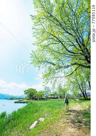 新緑・初夏の湖畔をトレッキングするイメージ(東郷池周辺) 新緑・初夏の湖畔をトレッキングするイメージ(東郷池周辺) 77085116