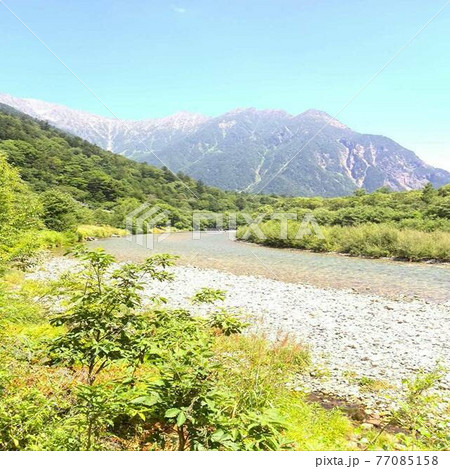 長野県の観光地で有名な上高地の夏の風景 長野県の観光地で有名な上高地の夏の風景 77085158