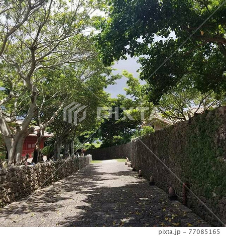 南国沖縄の夏の日常風景 77085165