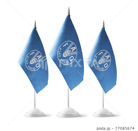 Set of Food and agriculture organization national flags on a white background 77085674