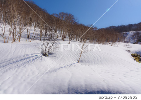 春の山の雪景色 春の山の雪景色 77085805