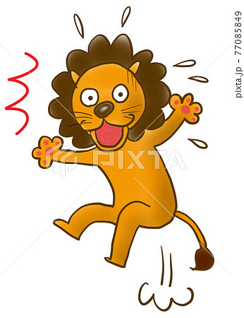 びっくりしたライオン 77085849