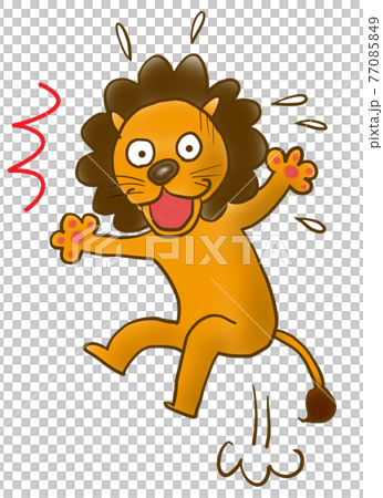 びっくりしたライオン 77085849