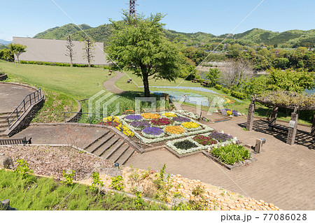 津久井湖城山公園・花の苑地 津久井湖城山公園・花の苑地 77086028
