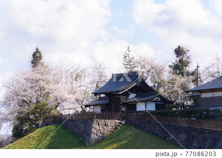 屋敷と桜 77086203