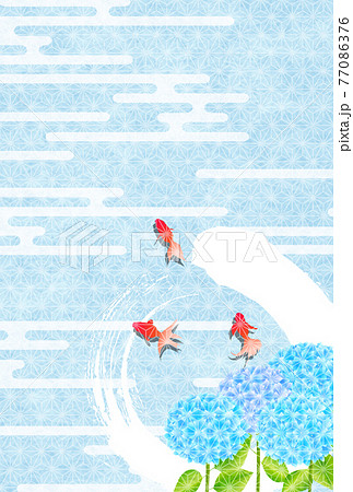 あじさい　金魚　暑中見舞い　背景 77086376