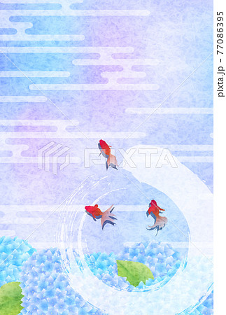 金魚 あじさい 暑中見舞い 背景 金魚 あじさい 暑中見舞い 背景 77086395