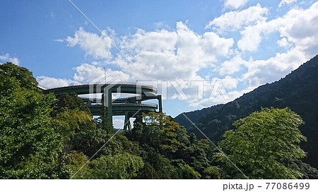 深緑の河津七滝ループ橋 77086499