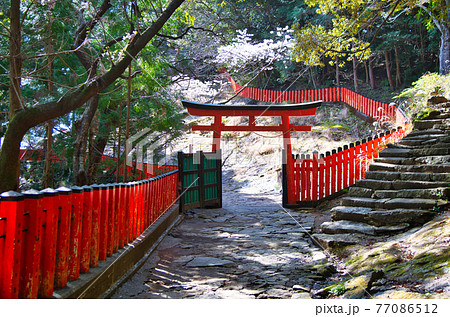 神倉神社　ゴトビキ岩入口鳥居 77086512