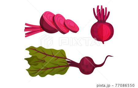 Beetroot or Red Beet with Top Leaves Vector Set 77086550