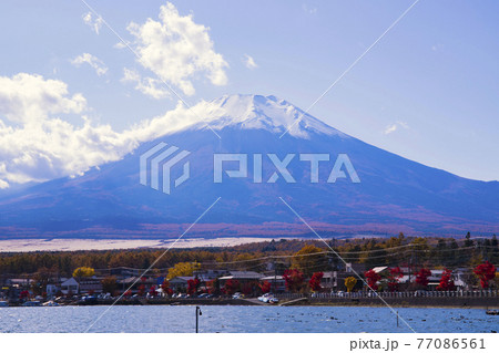 【山梨県】秋の山中湖と冠雪の富士山 【山梨県】秋の山中湖と冠雪の富士山 77086561