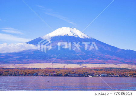 【山梨県】秋の山中湖と富士山 【山梨県】秋の山中湖と富士山 77086618