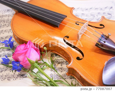 ヴァイオリンと花 77087007