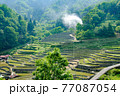 棚田　初夏の風景 77087054