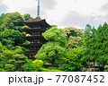 初夏の瑠璃光寺　五重塔 77087452