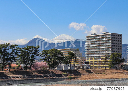開成町のマンション群と富士山(神奈川県) 開成町のマンション群と富士山(神奈川県) 77087995