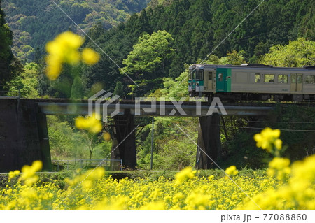 JR牟岐線の電車 77088860