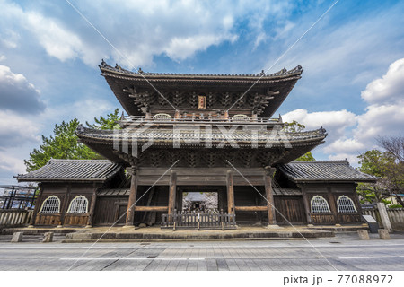 《愛知県》岡崎市 大樹寺 《愛知県》岡崎市 大樹寺 77088972