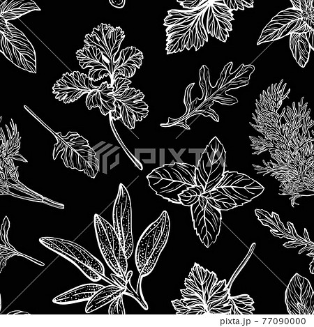 Wild herbs pattern by Veleri on Dribbble
