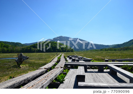 ≪群馬県≫初夏の新緑と残雪の至仏山　尾瀬国立公園散策 77090096