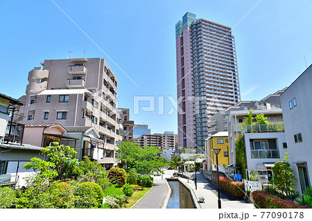 小津橋より古石場親水公園/ウェルタワー深川方面を望む(東京都江東区)【2021.4】 小津橋より古石場親水公園/ウェルタワー深川方面を望む(東京都江東区)【2021.4】 77090178