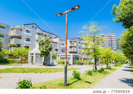 郊外の住宅地 新緑の生活道路 郊外の住宅地 新緑の生活道路 77090839