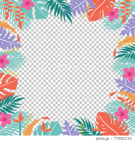 Tropical summer vector illustration frame background of several kinds of tropical plants 77092233