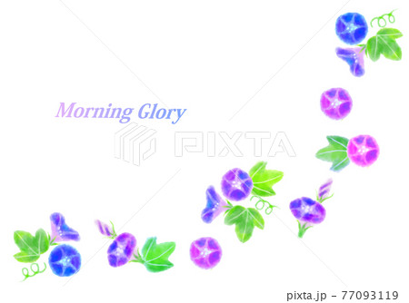 水彩の朝顔のラインイラストのイラスト素材