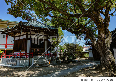 大聖将軍寺 大聖将軍寺 77093536