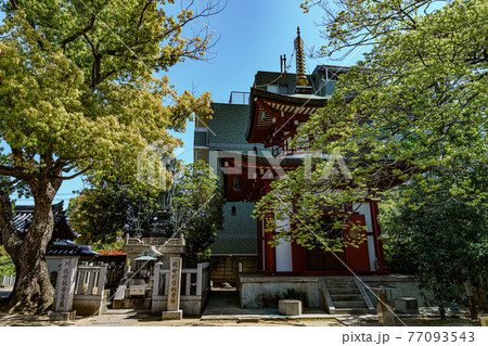大聖将軍寺 大聖将軍寺 77093543