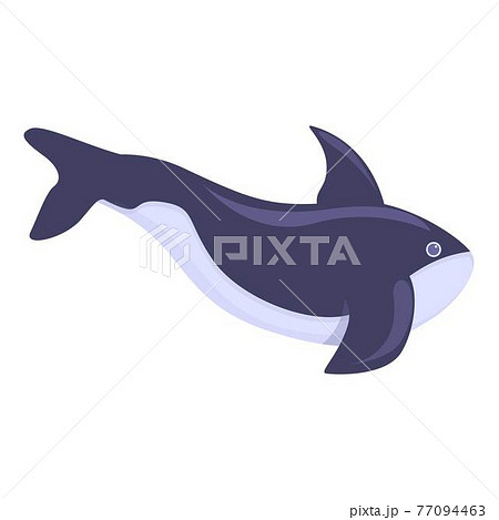 Killer whale aqua icon, cartoon style 77094463