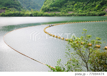 朝霧湖 朝霧湖 77094474