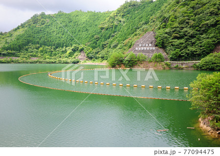 朝霧湖 朝霧湖 77094475