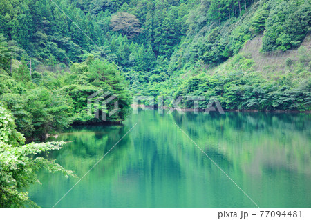 朝霧湖 77094481